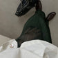 Pleats Please Issey Miyake pantaloni