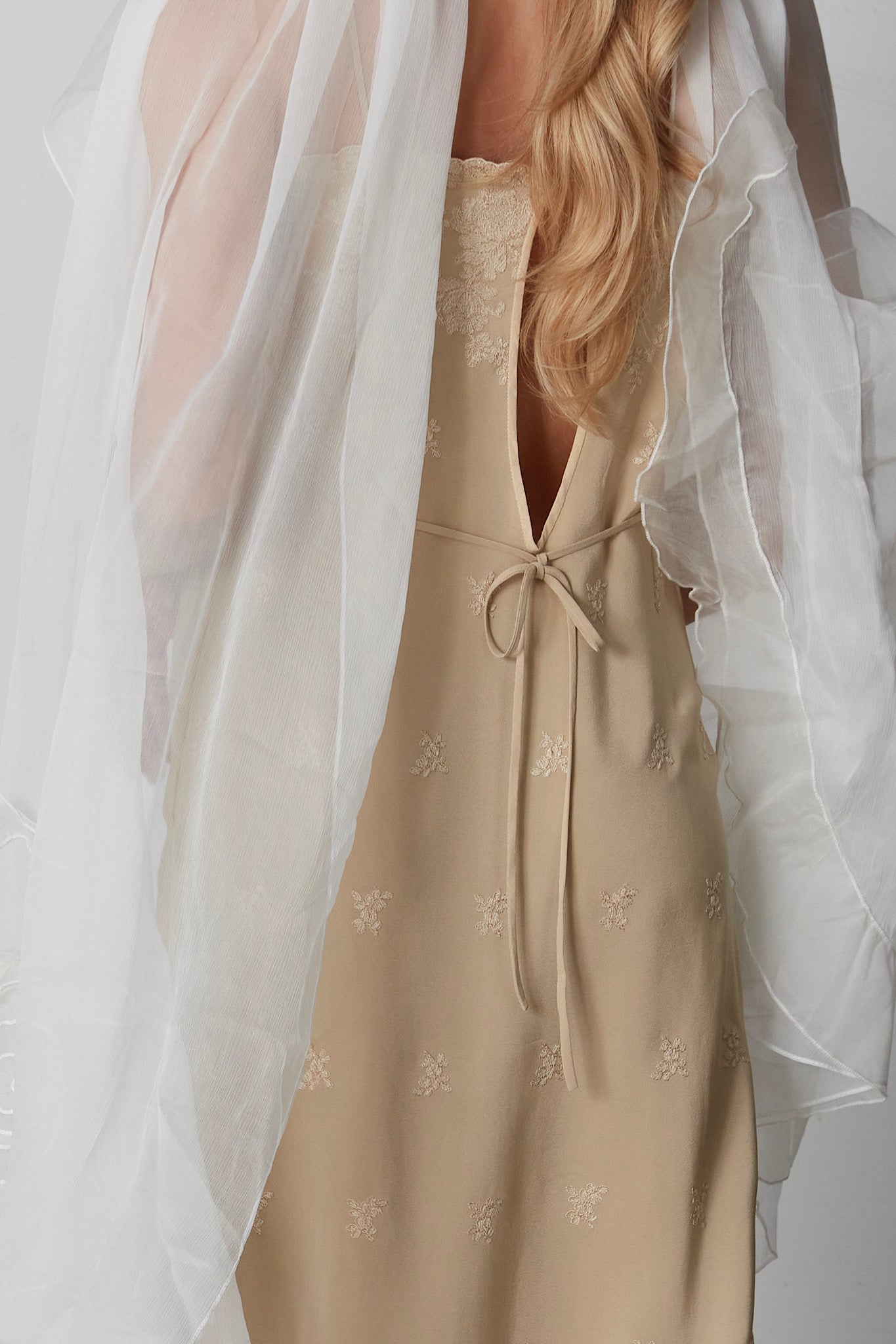 Alberta Ferretti abito in pura seta ricamata